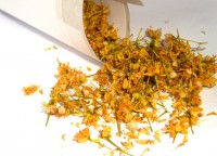 /album/fotogalerie/lindenbluten1-jpg/